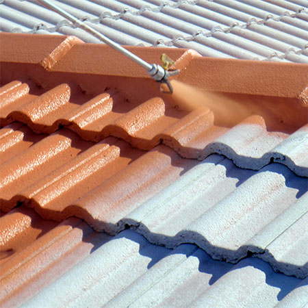 Roof Painting