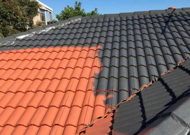 Roof Painting Services